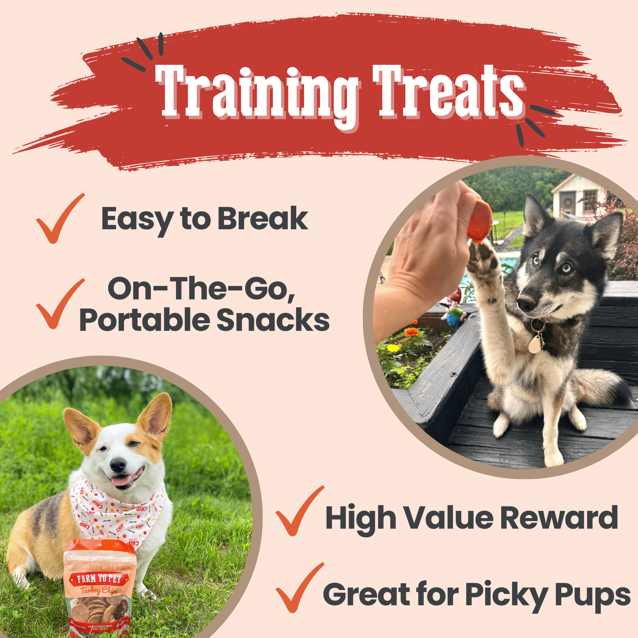 Farm to Pet Treat Chips - Turkey