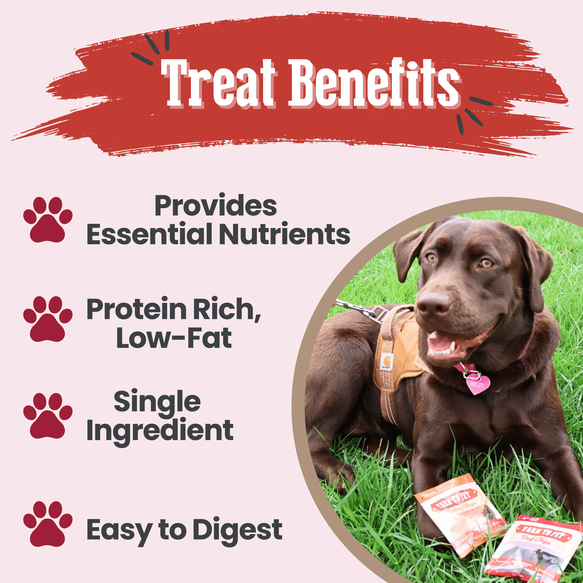 Farm to Pet Dog Treat Starter Pack Bundle