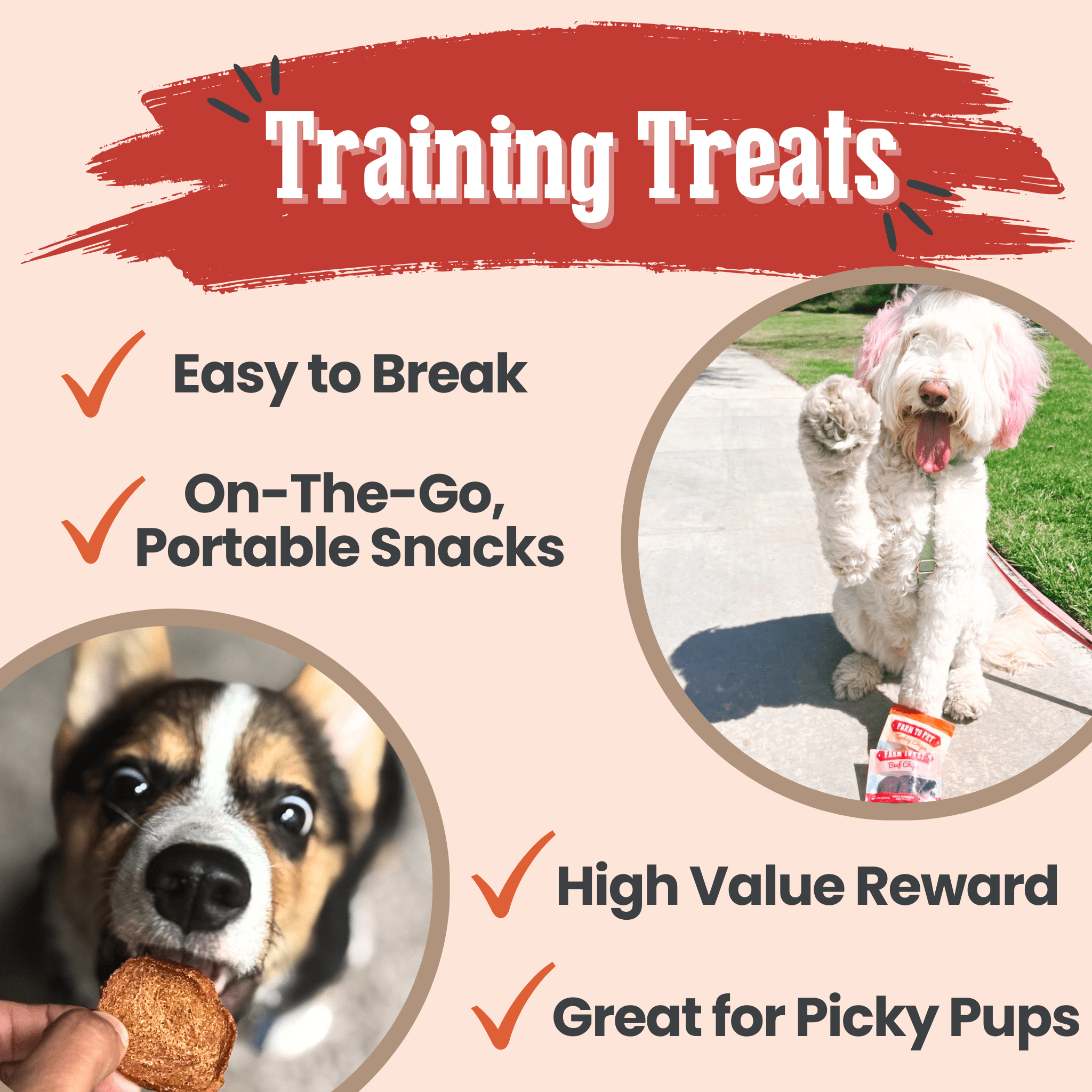 Farm to Pet Dog Treat Starter Pack Bundle