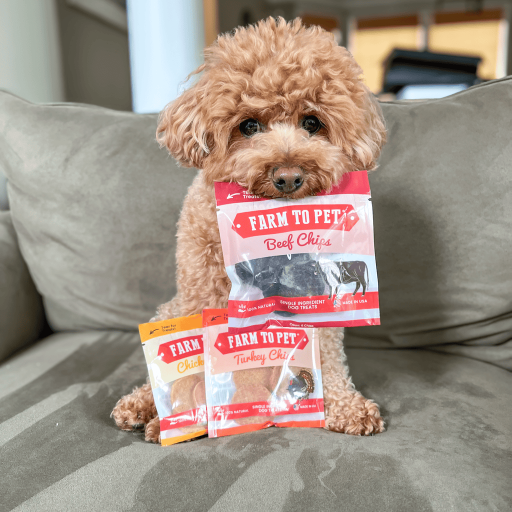 Farm to Pet Dog Treat Starter Pack Bundle