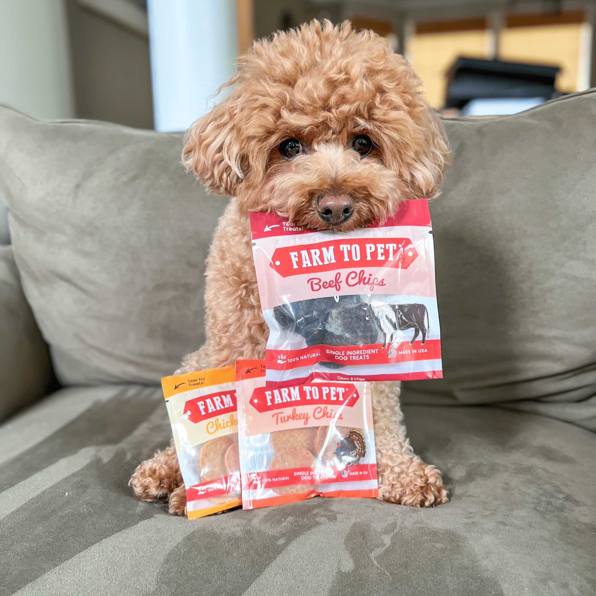 Farm to Pet Dog Treat Starter Pack Bundle