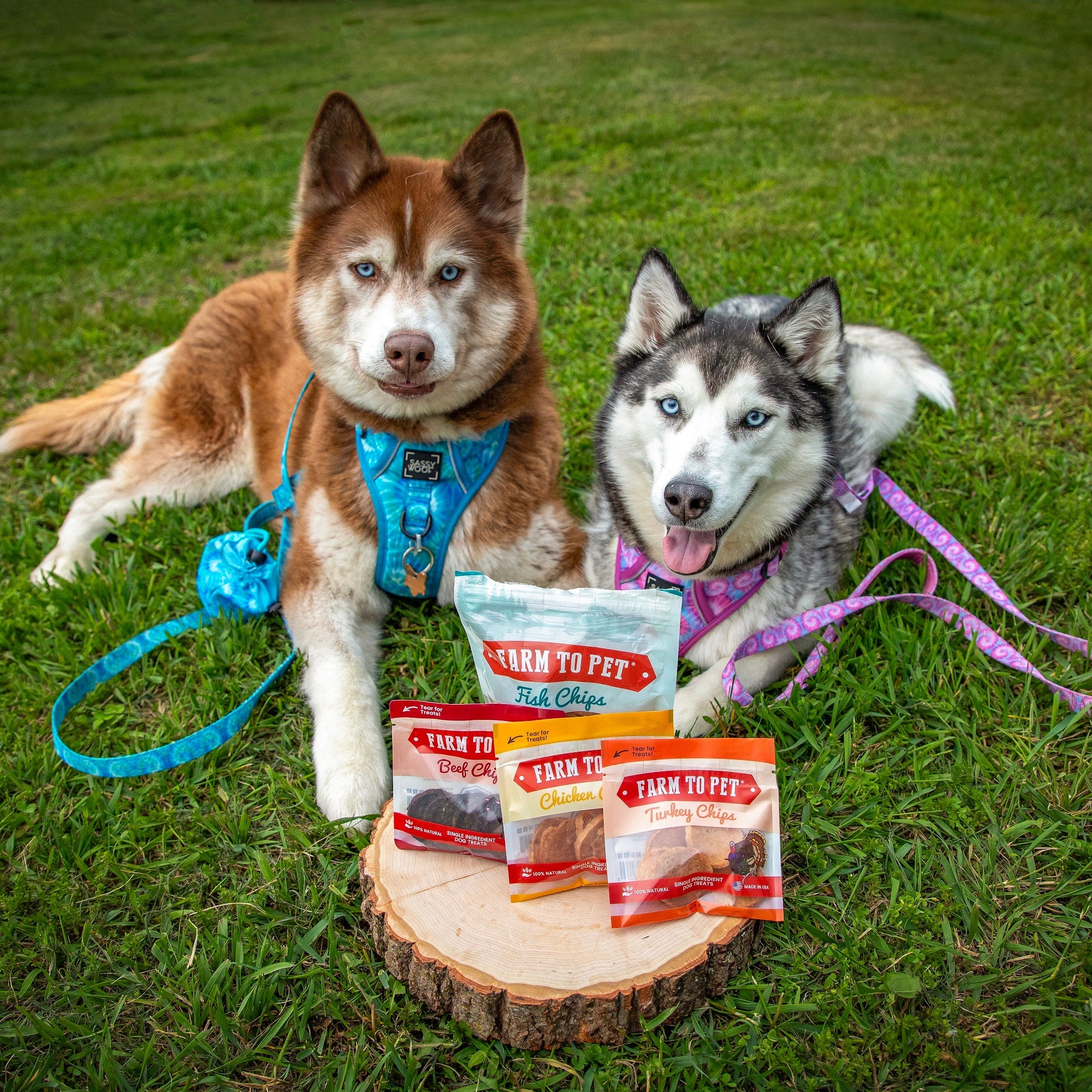 Farm to Pet Dog Treat Starter Pack Bundle