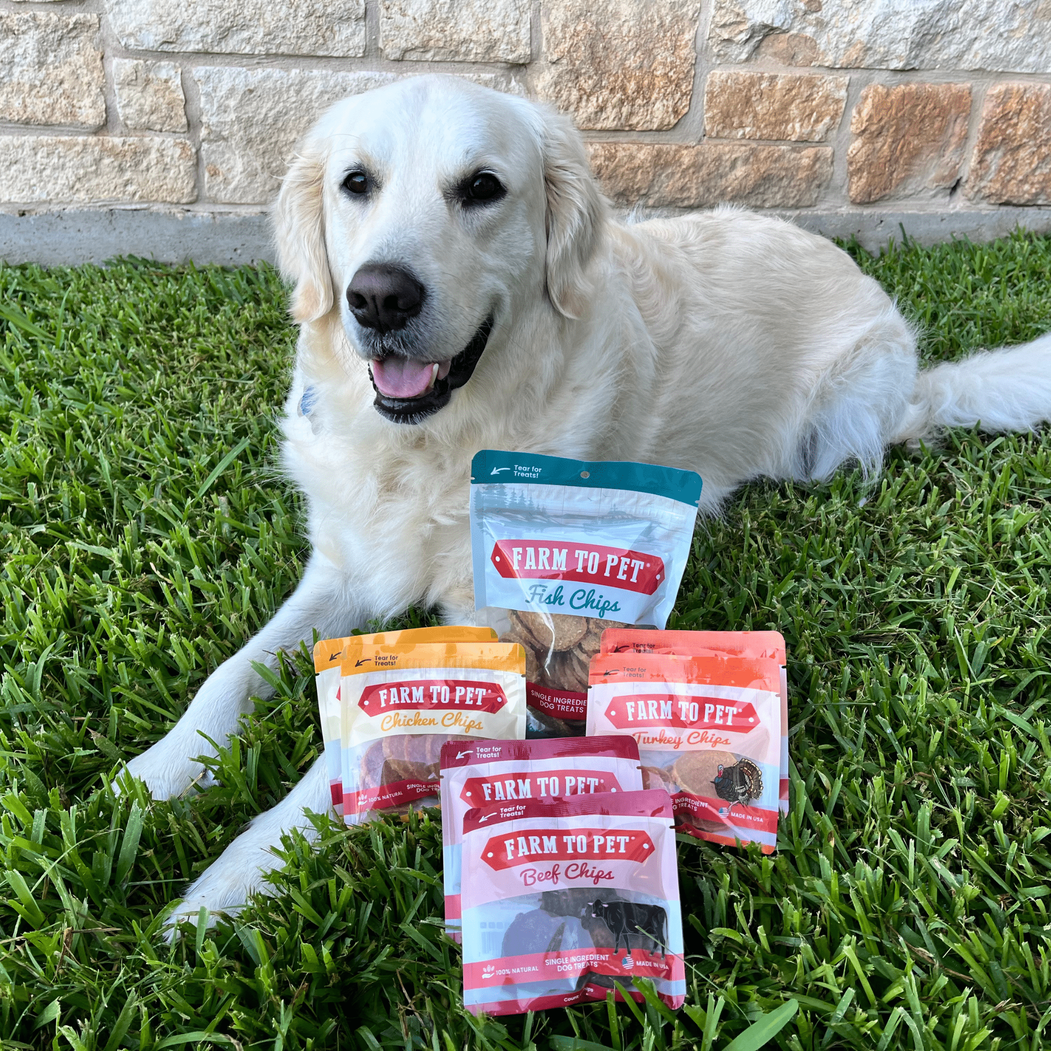 Farm to Pet Dog Treat Starter Pack Bundle
