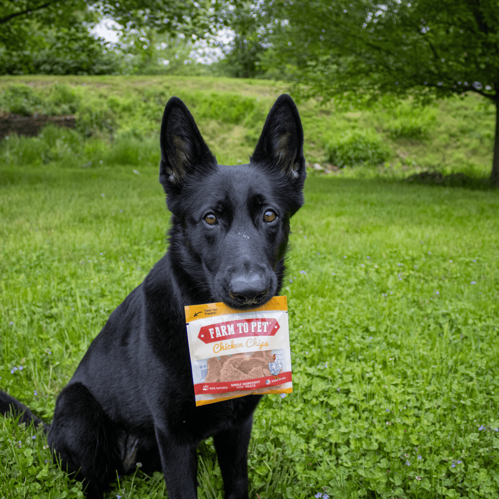 Farm to Pet Chicken Treat Chips Snack Pack Bundles