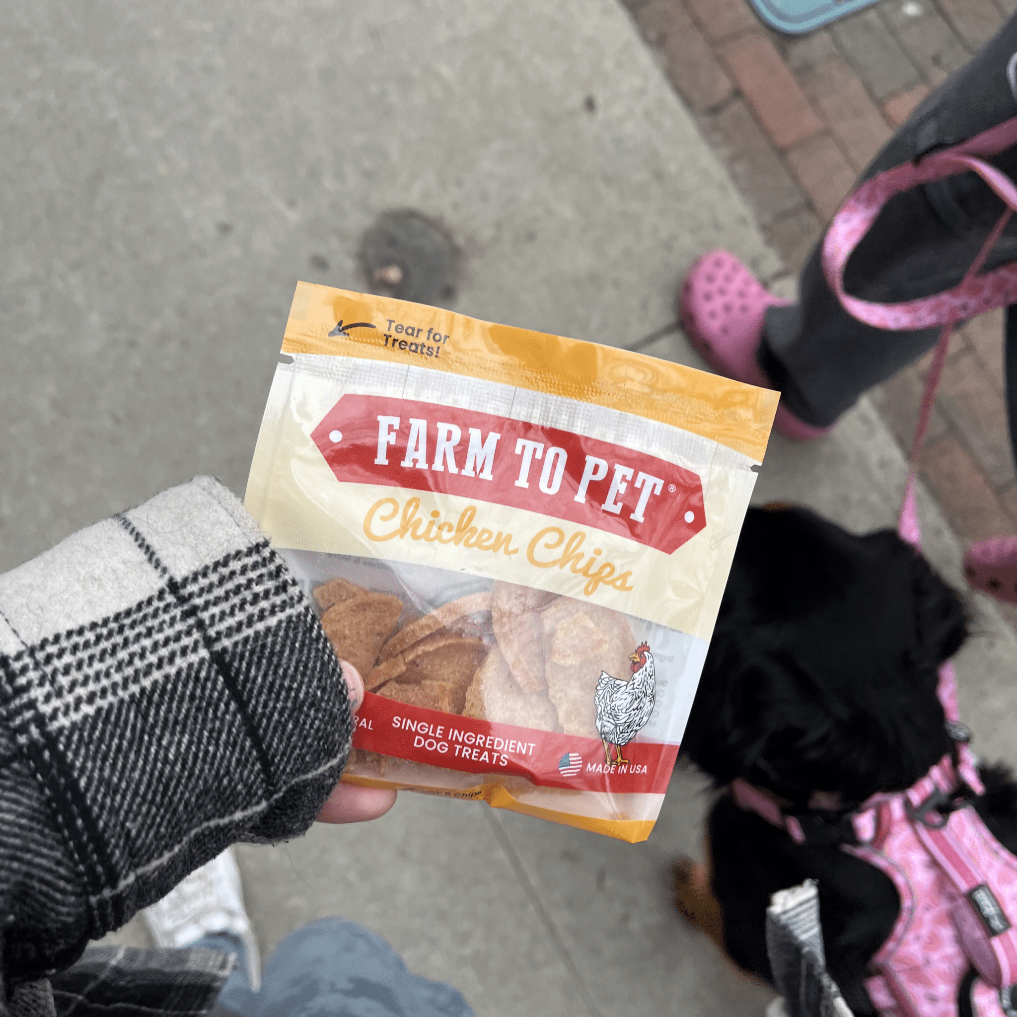 Farm to Pet Chicken Treat Chips Snack Pack Bundles