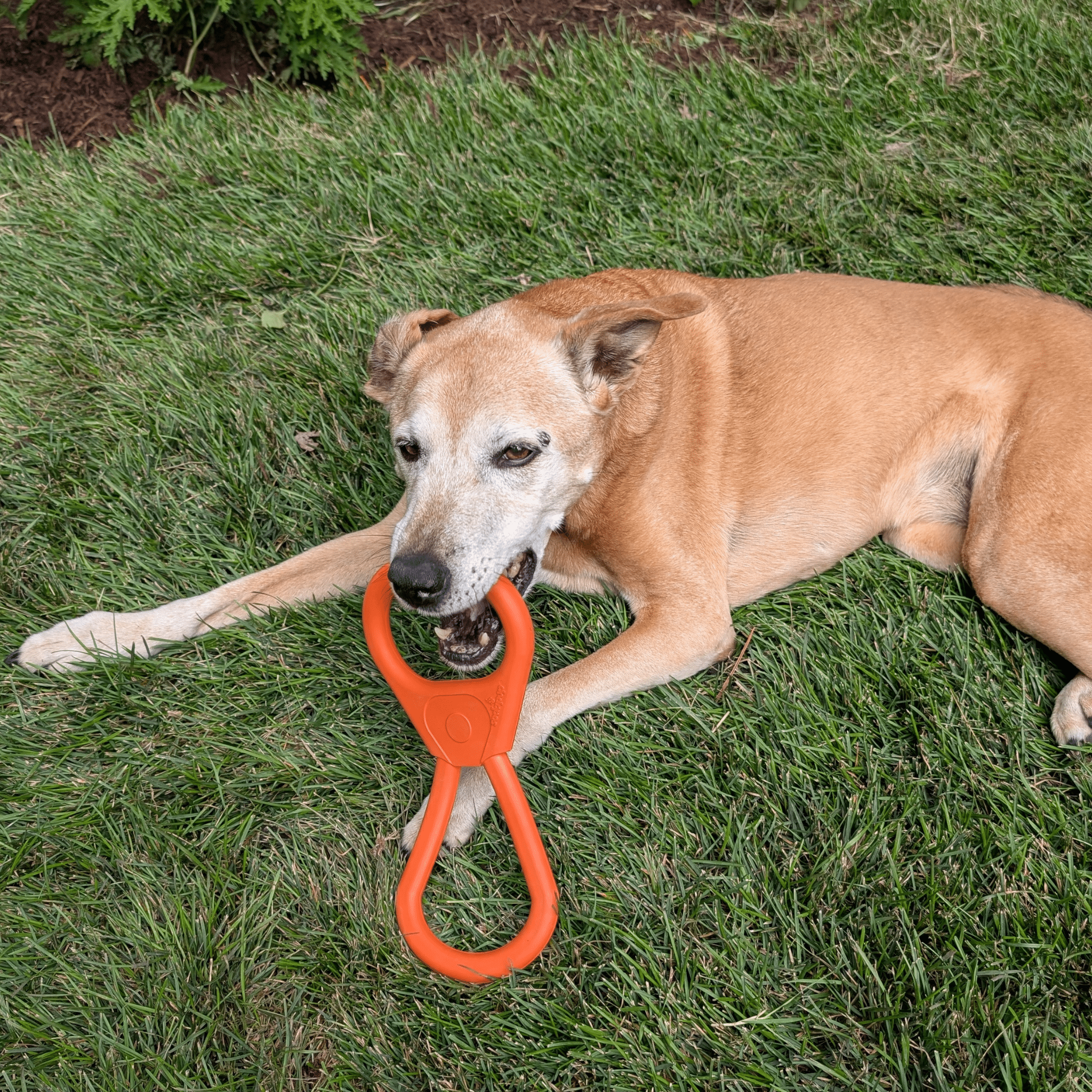 Tug Toys