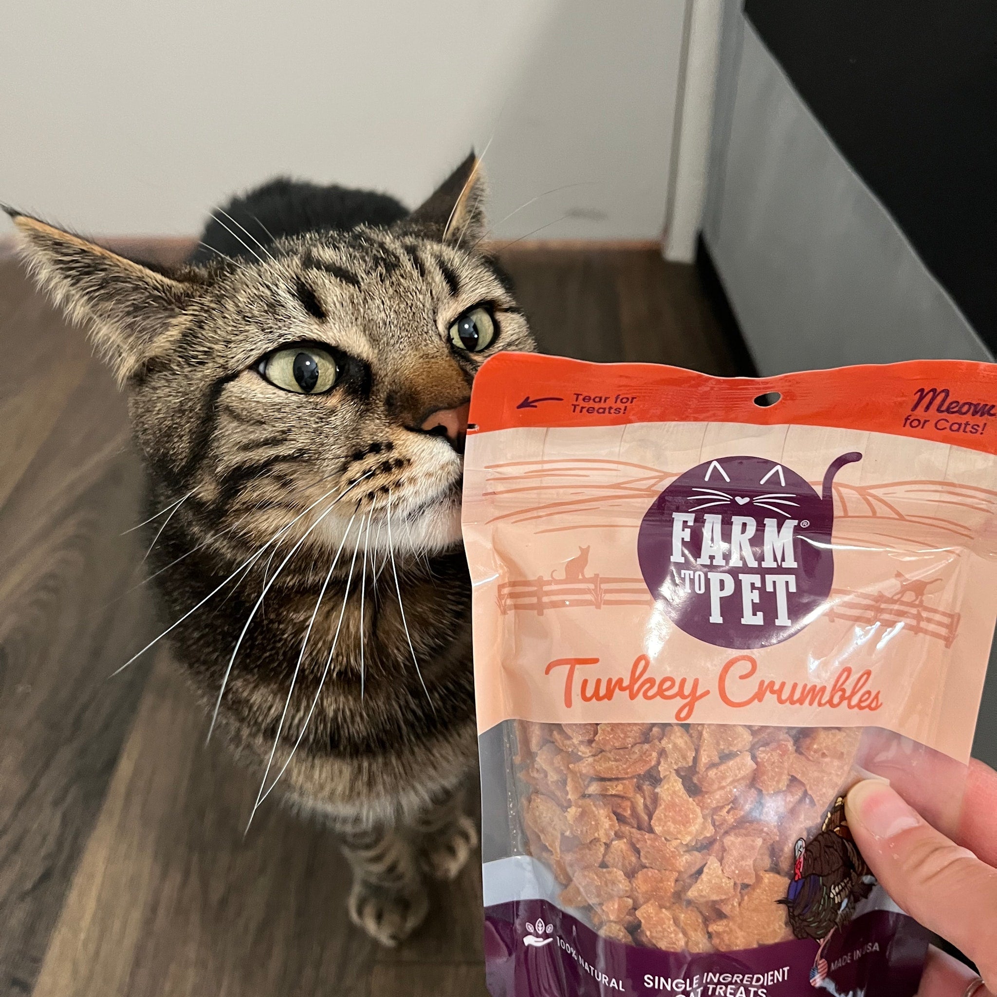 Turkey Crumbles for Cats – Grain-Free Cat Treats
