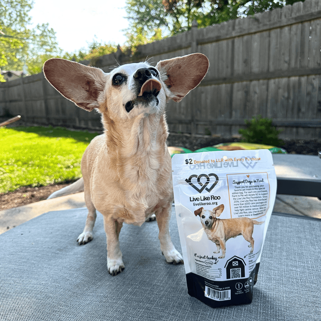 Turkey Treat Chips – Live Like Roo Edition