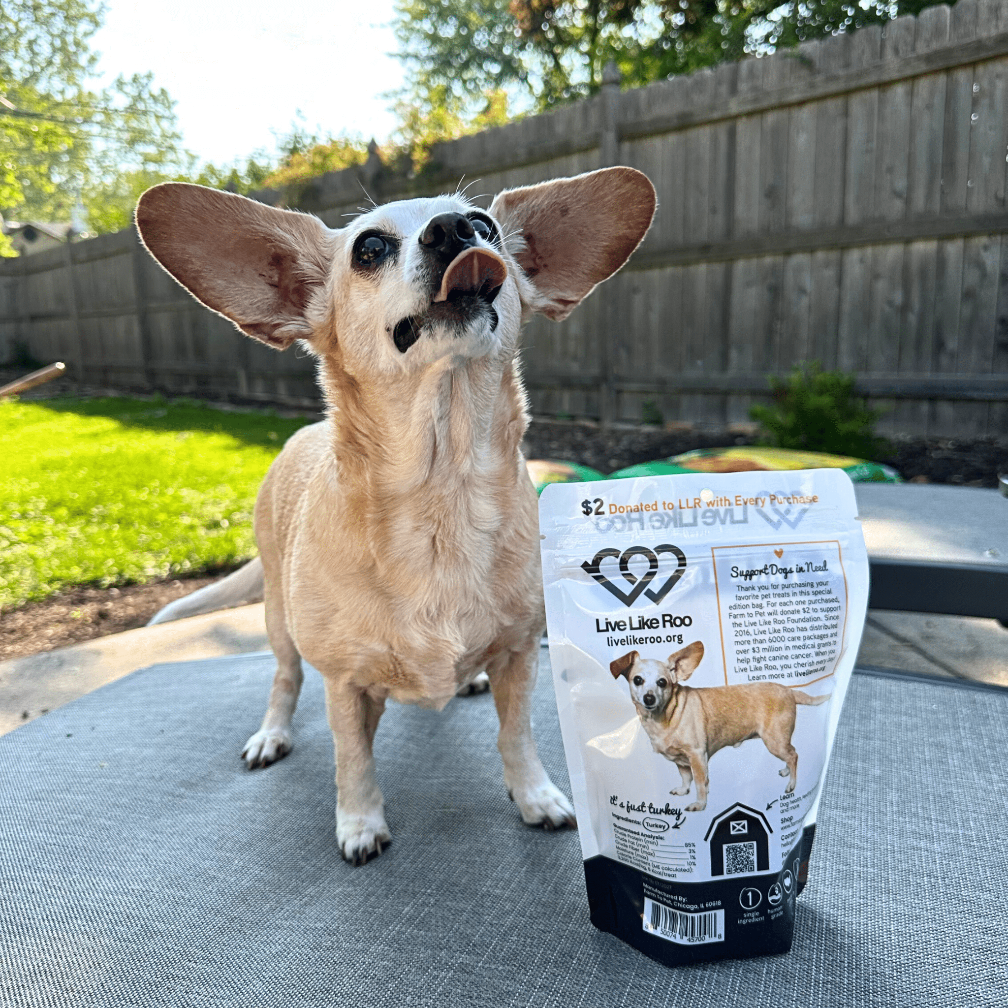 Turkey Treat Chips – Live Like Roo Edition