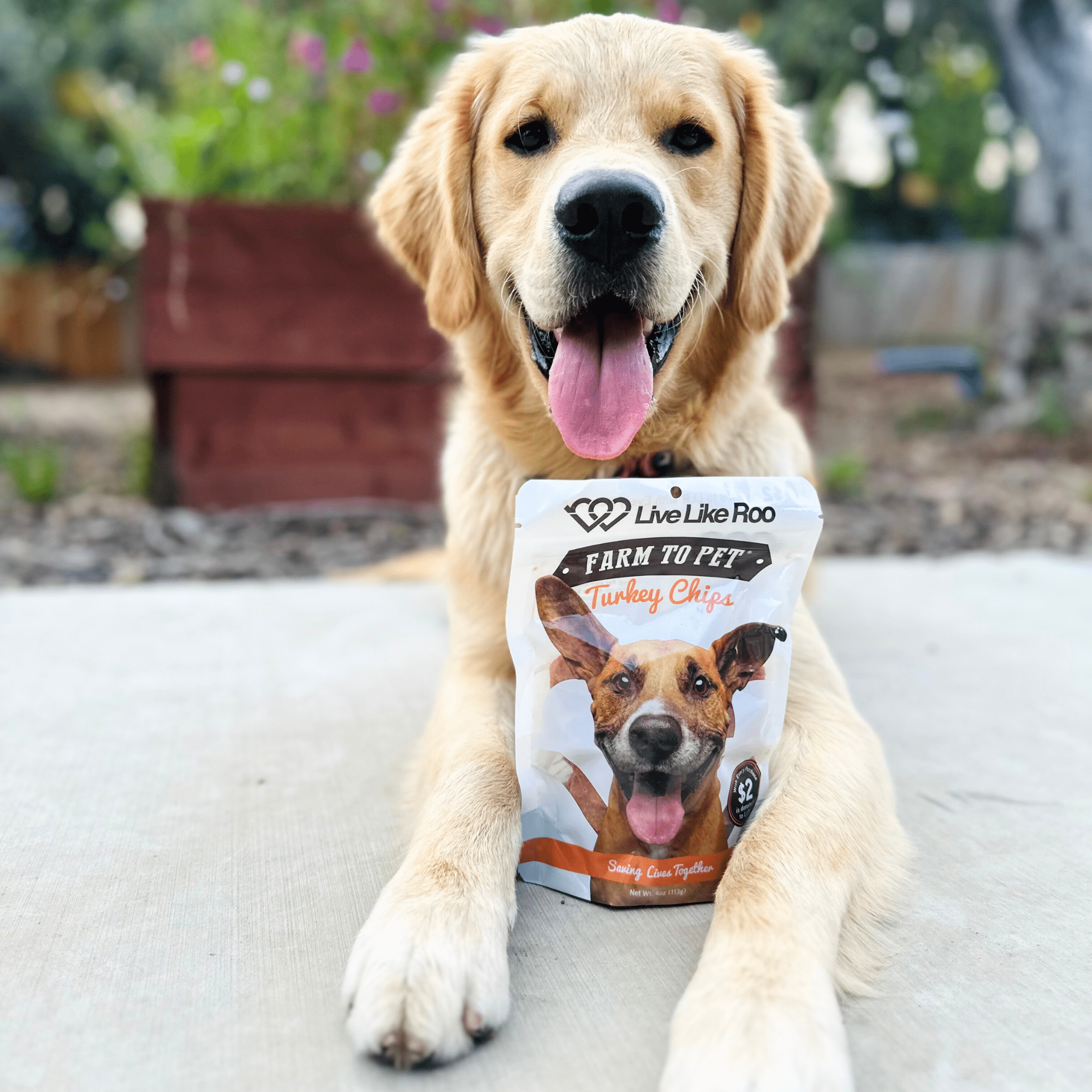 Farm to Pet Treat Chips - Turkey
