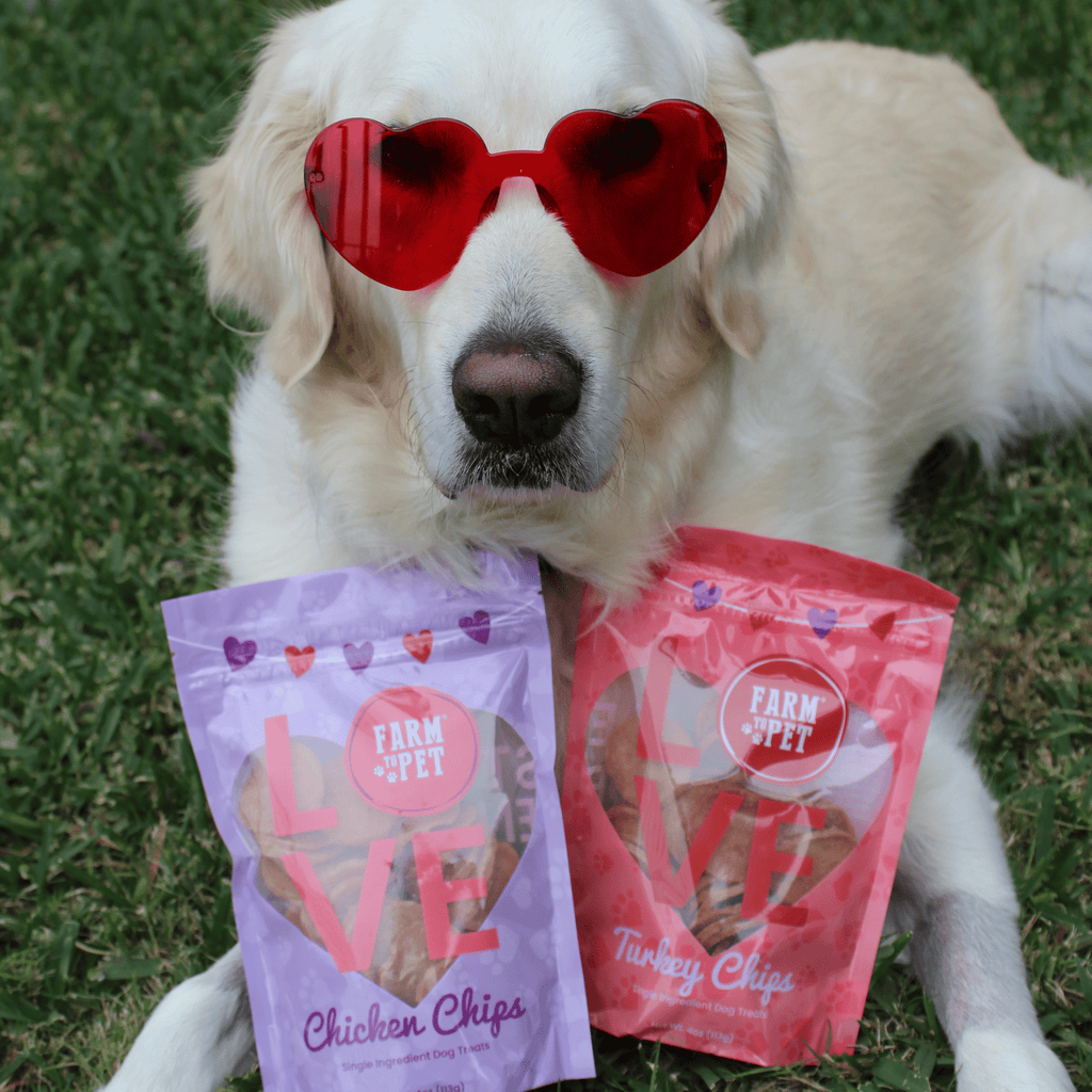 Farm to Pet Dog Treat Duo Chip - Chicken & Turkey