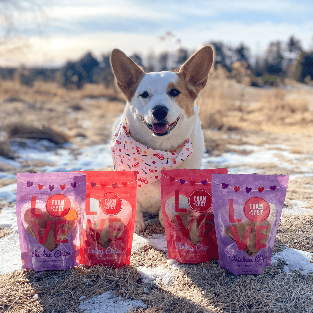 Farm to Pet Dog Treat Duo Chip - Chicken & Turkey