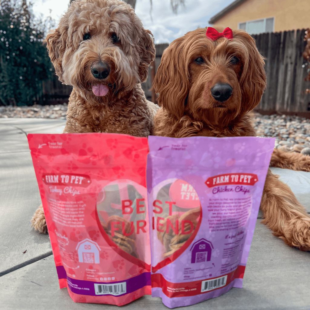 Farm to Pet Dog Treat Duo Chip - Chicken & Turkey