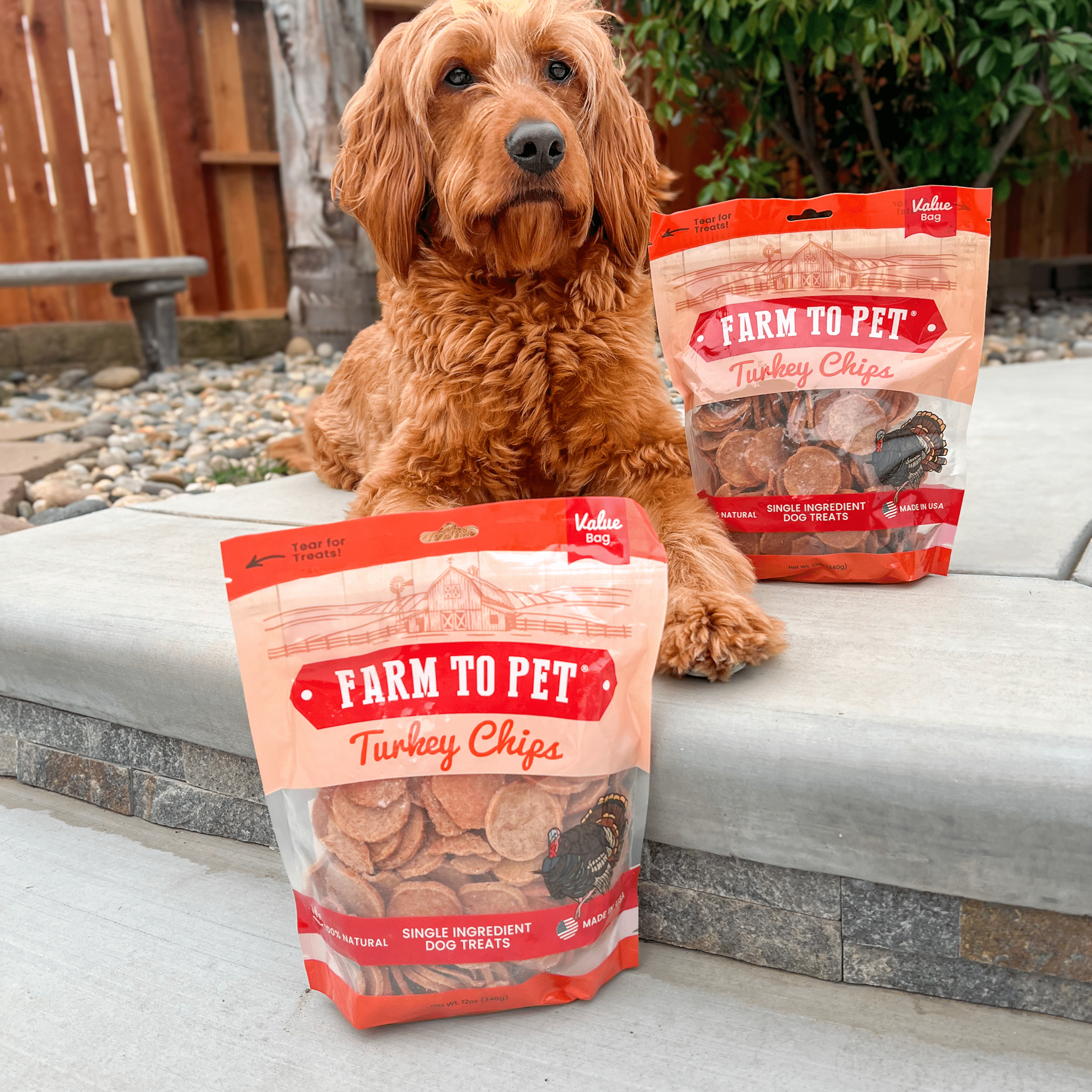 Farm to Pet Treat Chips - Turkey