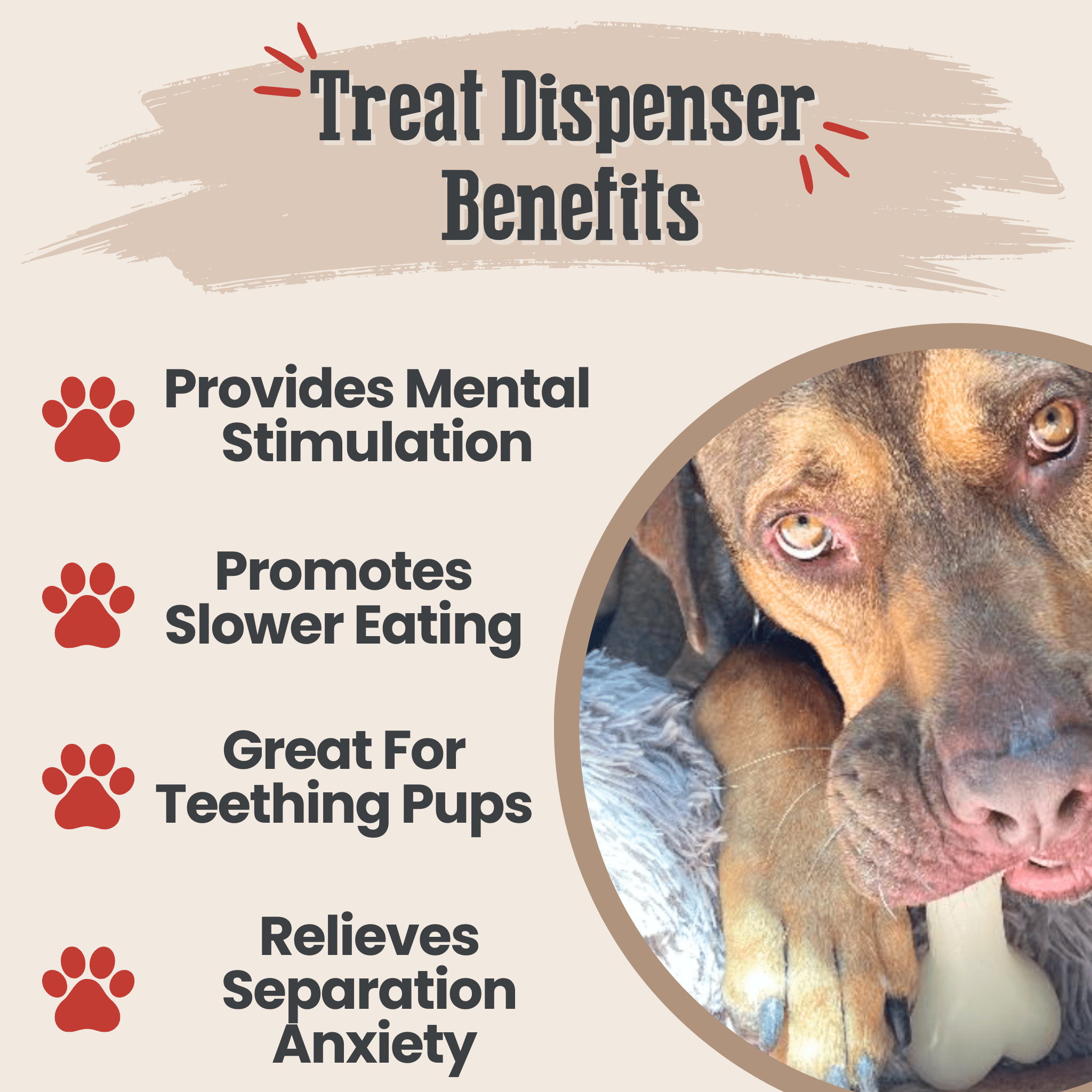 Farm to Pet Dog Treat Dispensers - Multiple Colors