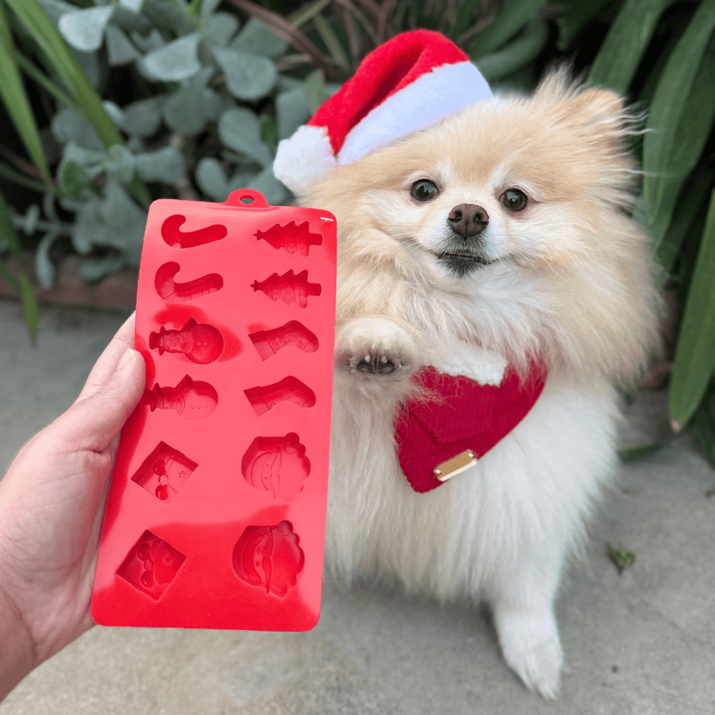 Farm to Pet Cat & Dog Treat Molds - Multiple Colors