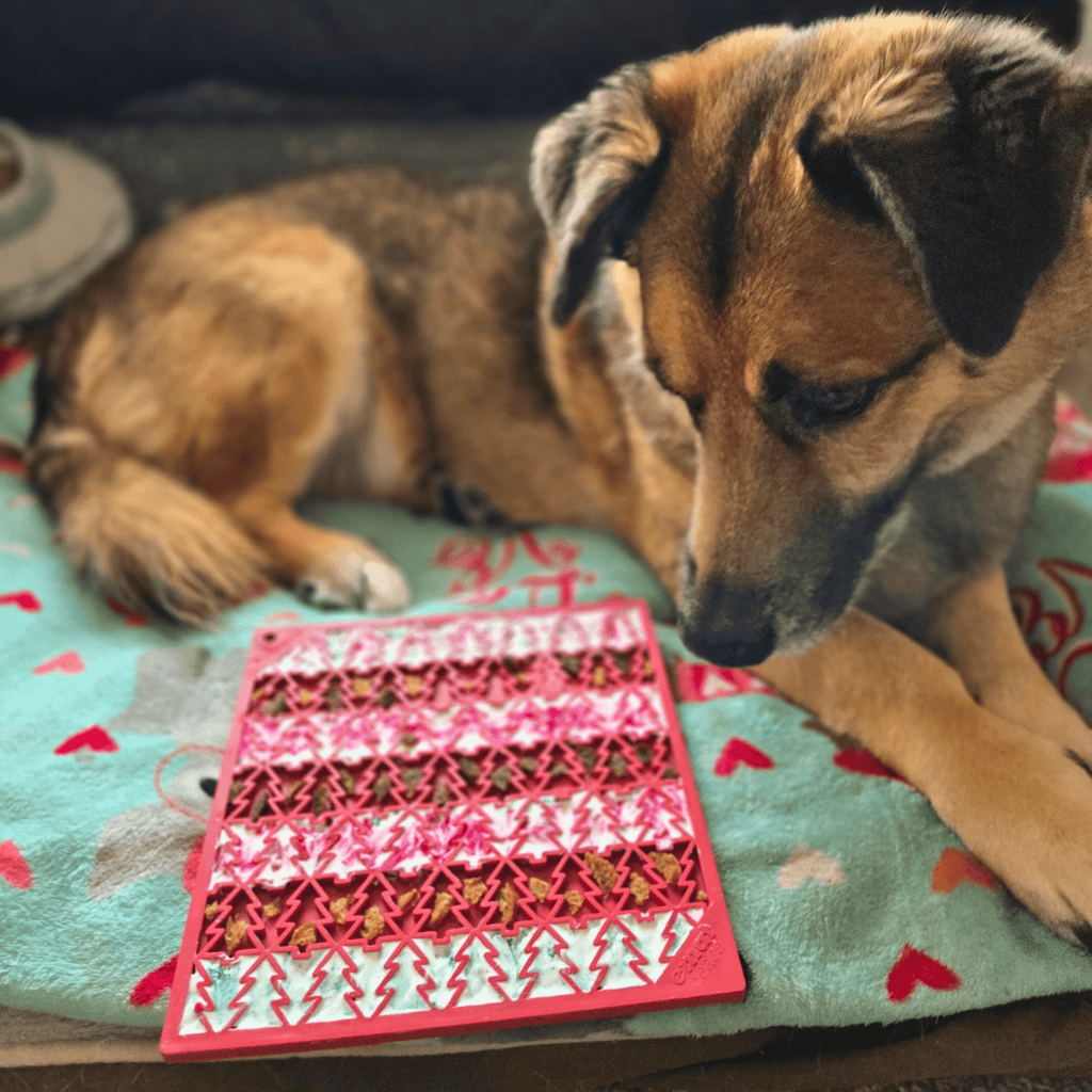 Dog & Cat Lick Mat – Multiple Colors