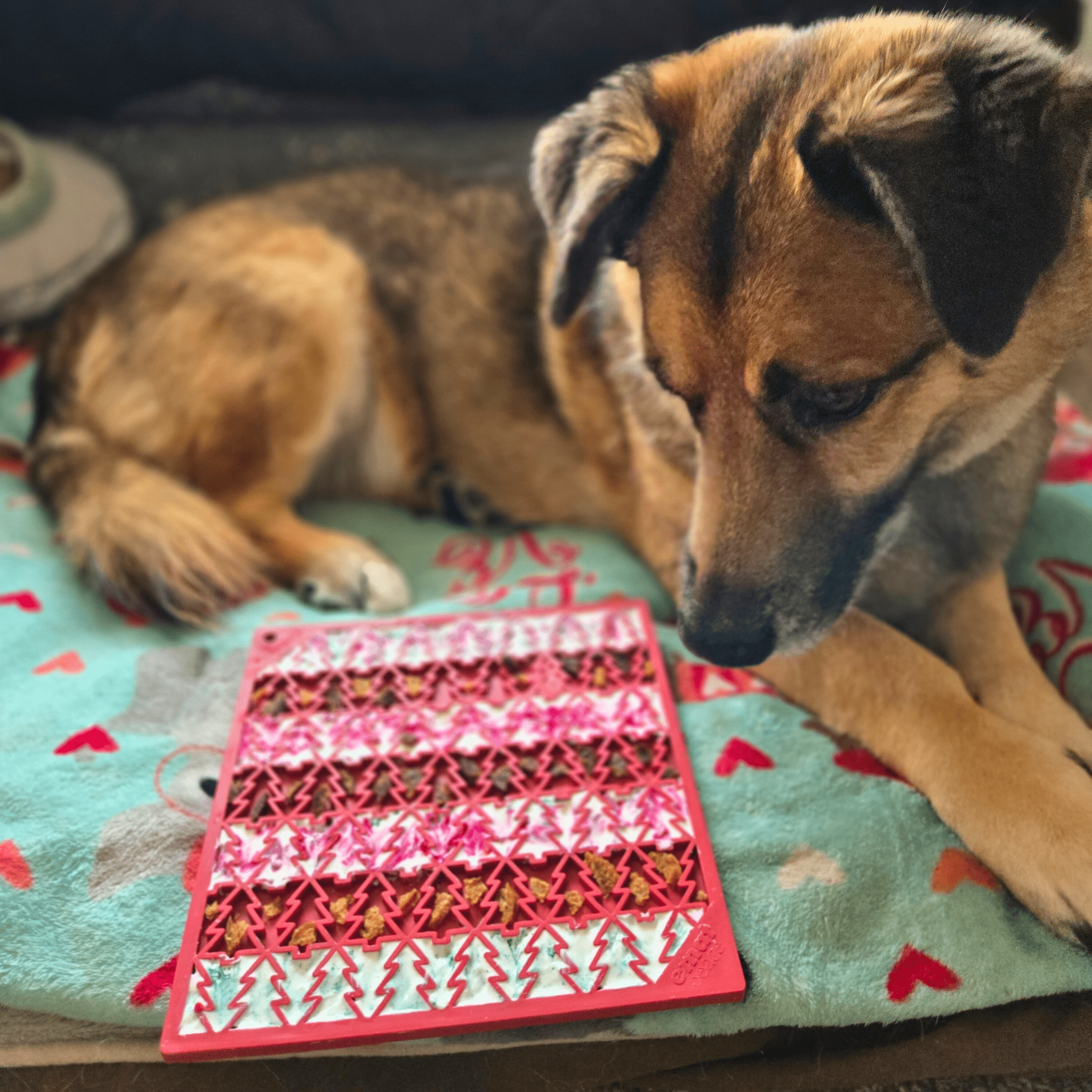 Dog & Cat Lick Mat – Multiple Colors
