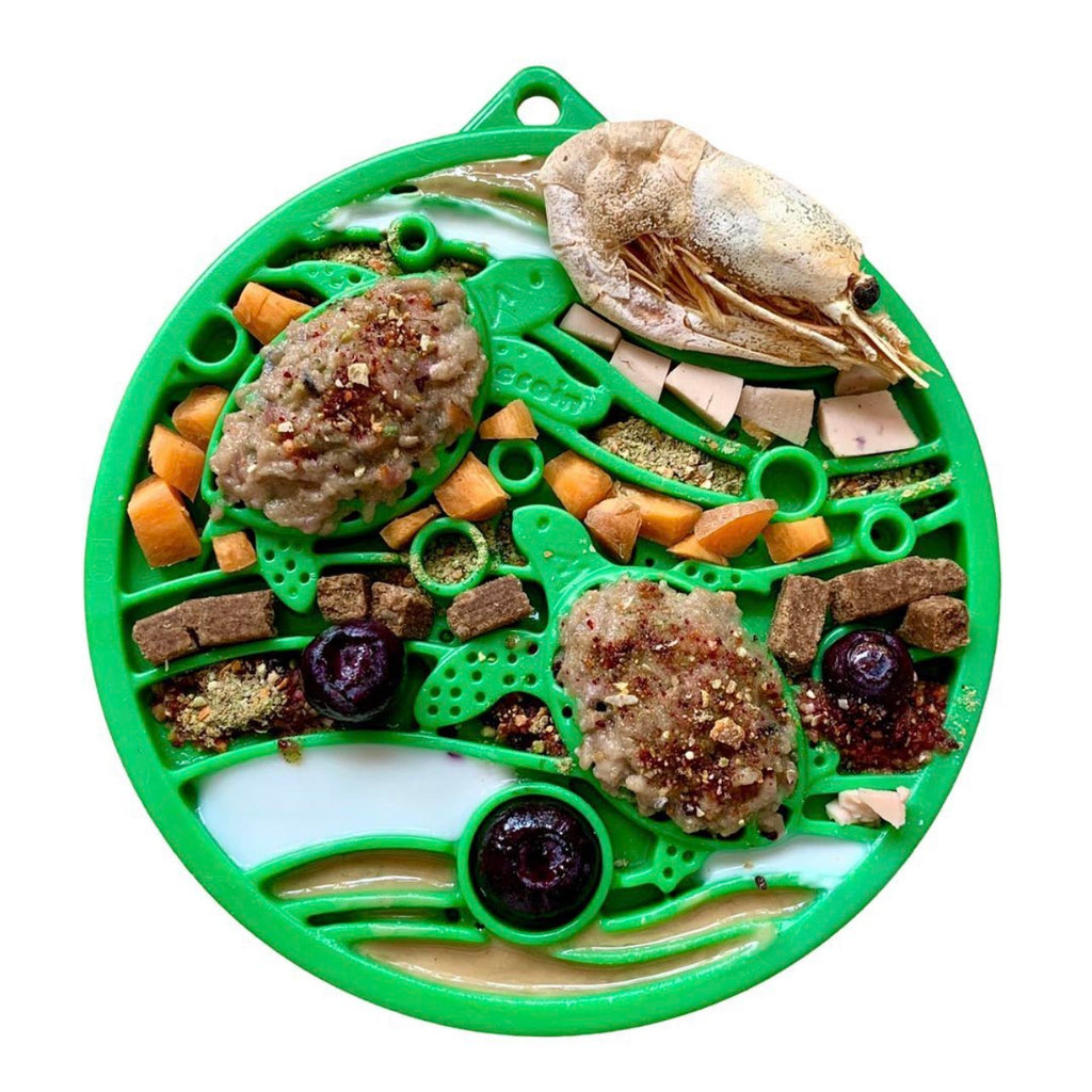 SodaPup Water Ecoin Durable Enrichment Snacking Coin – Green