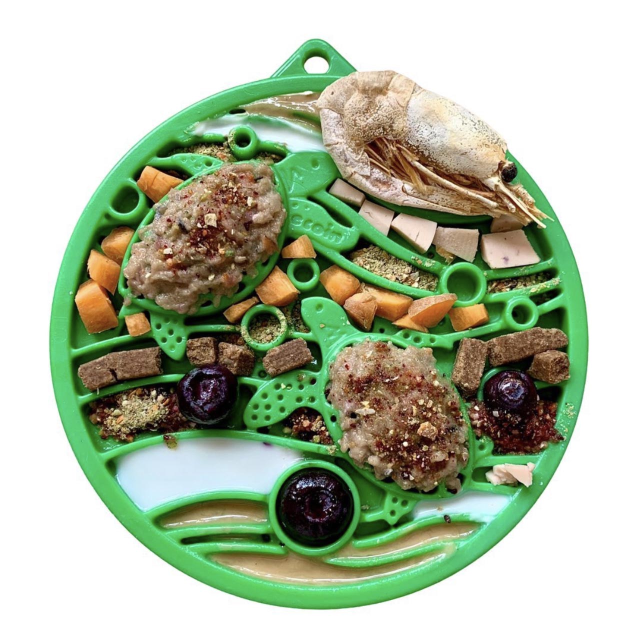 SodaPup Water Ecoin Durable Enrichment Snacking Coin – Green