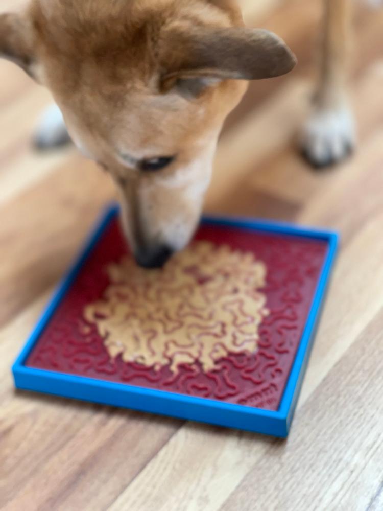 Hold Em Suction Cup Holder for Dog Bowls and Lick Mats – Blue