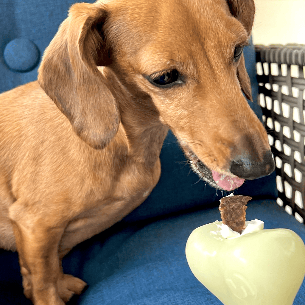 Farm to Pet Dog Treat Dispensers - Multiple Colors