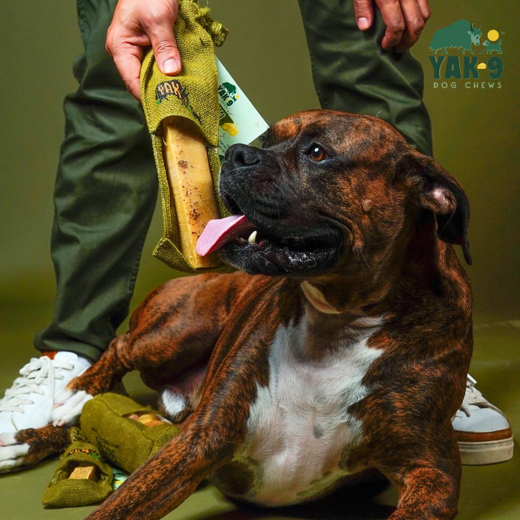 Yak9 Chews - Flaxseed & Mint