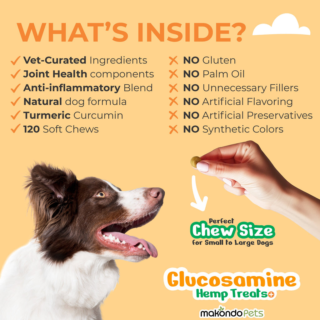 Dog Hip and Joint Supplement – Glucosamine (120 Soft Chews)