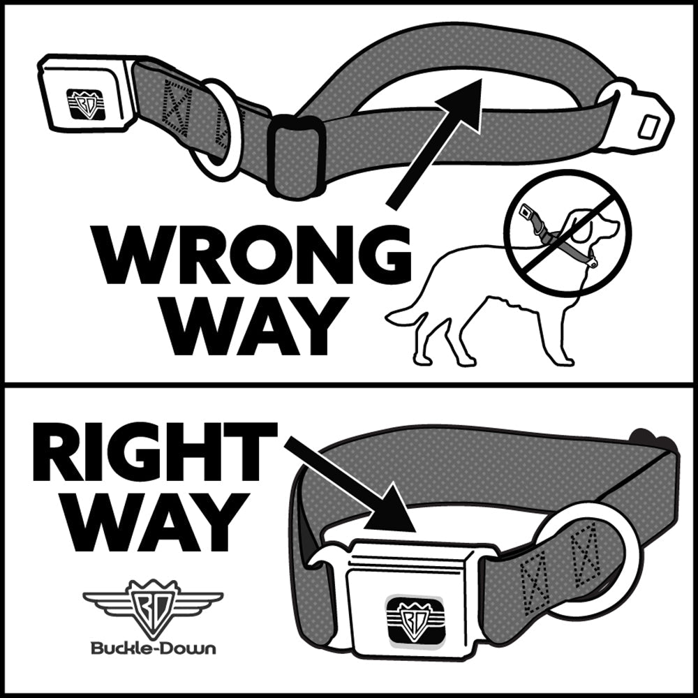 Seatbelt Dog Collar – BD Logo Black and Gray