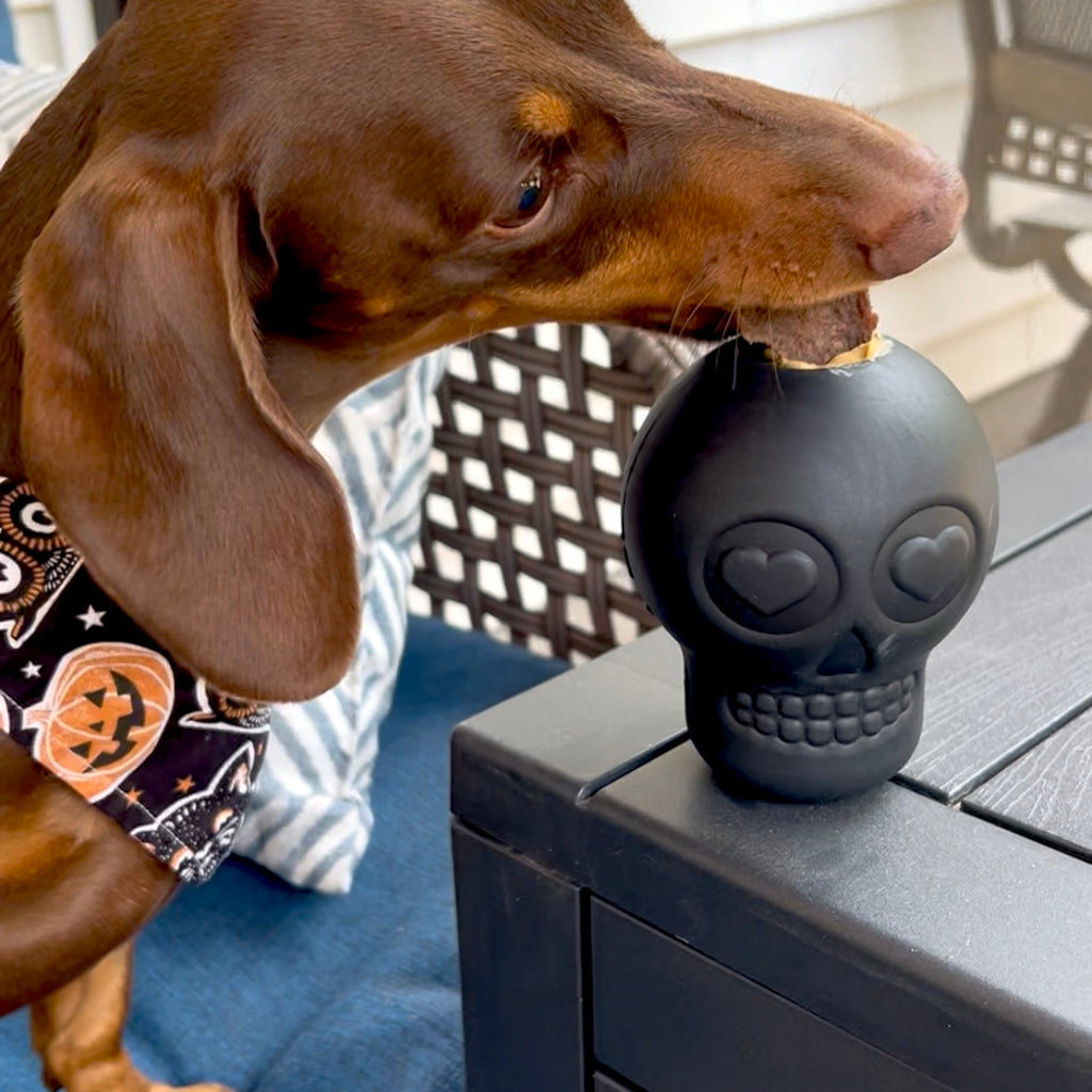 Farm to Pet Dog Treat Dispensers - Multiple Colors