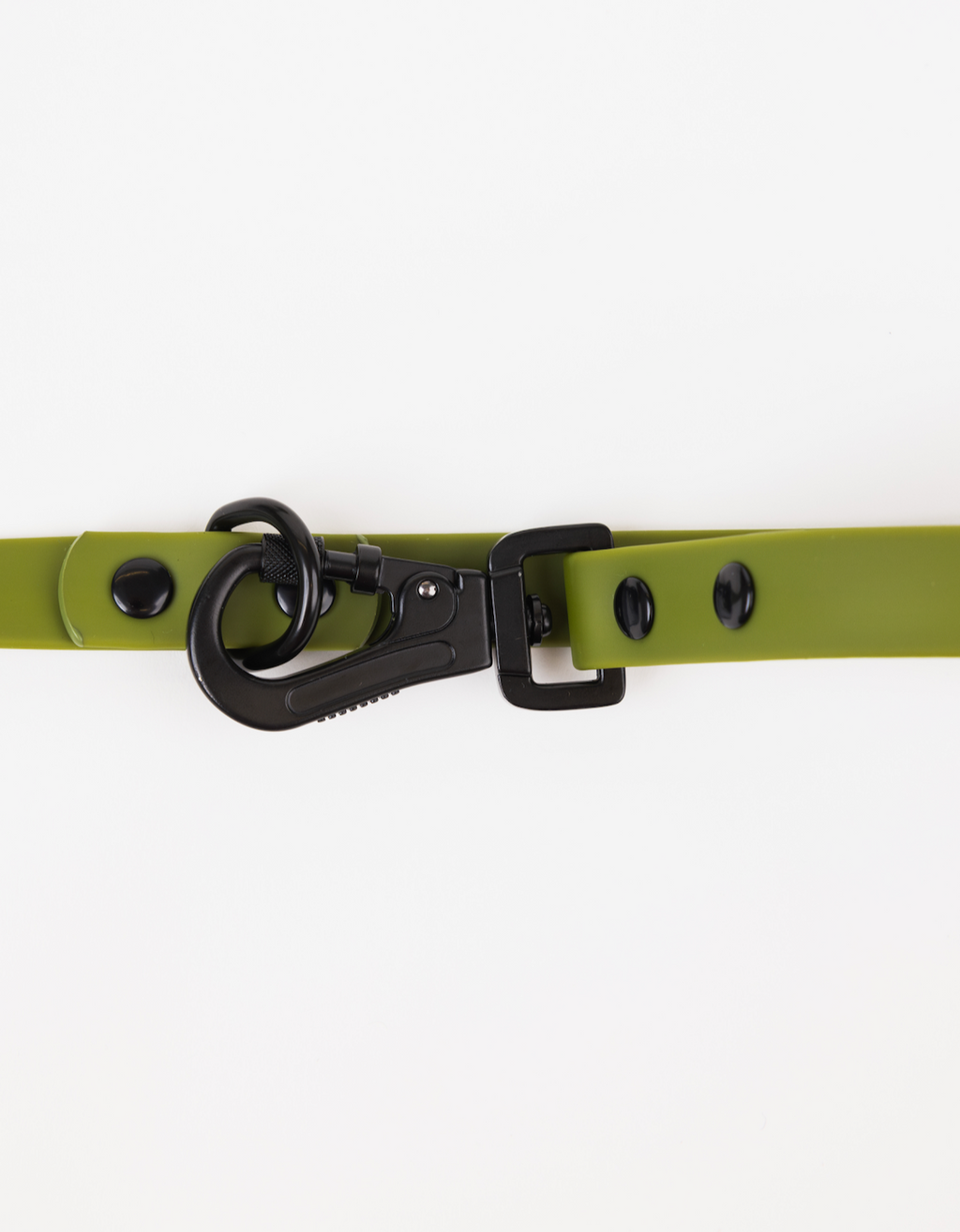 Olive Green Adjustable Dog Leash