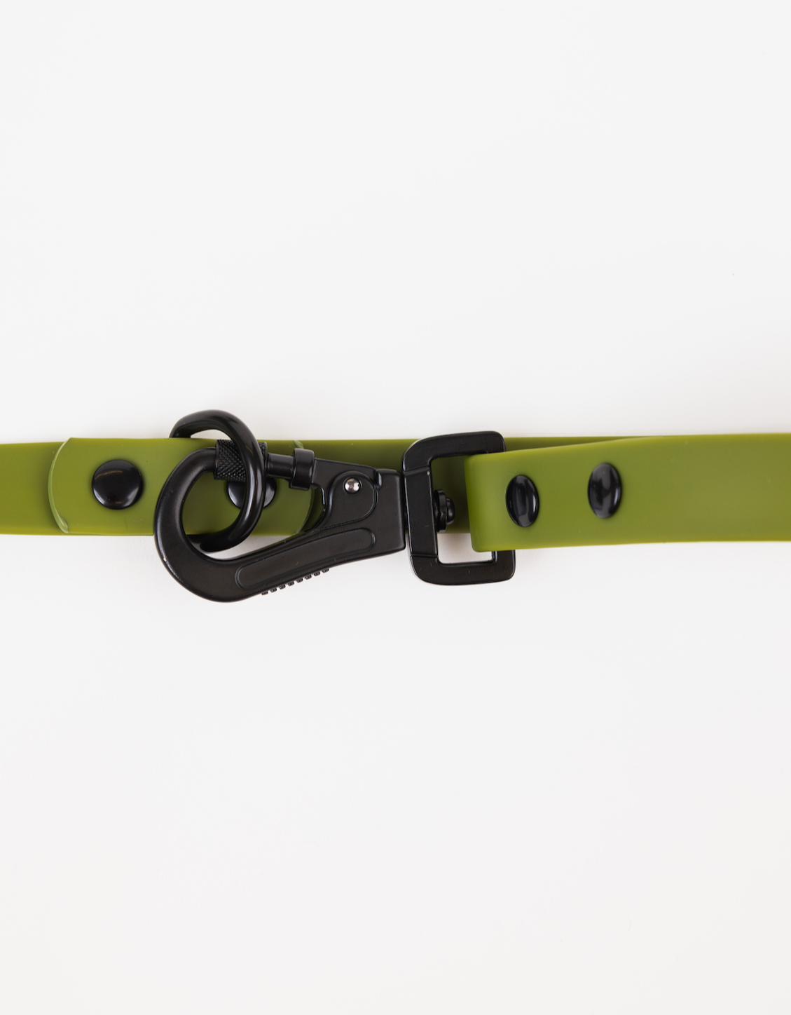 Olive Green Adjustable Dog Leash