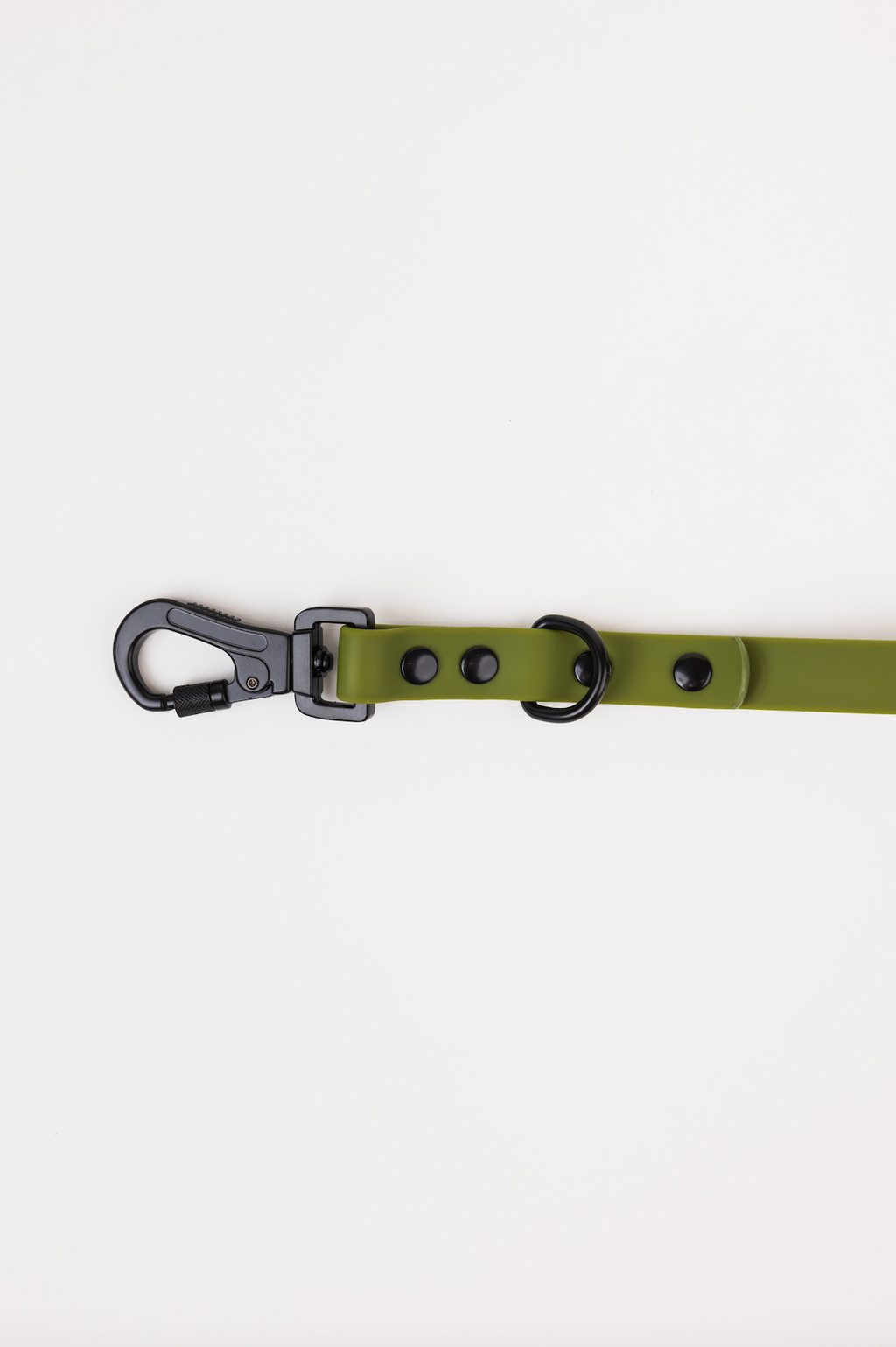 Olive Green Adjustable Dog Leash