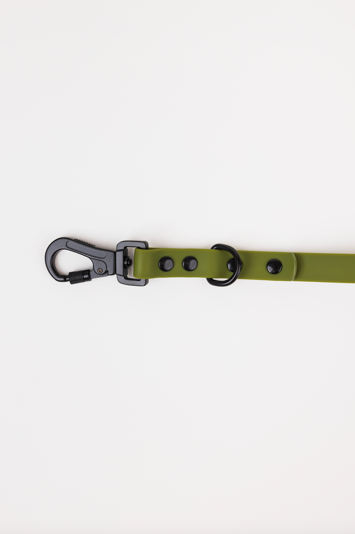 Olive Green Adjustable Dog Leash