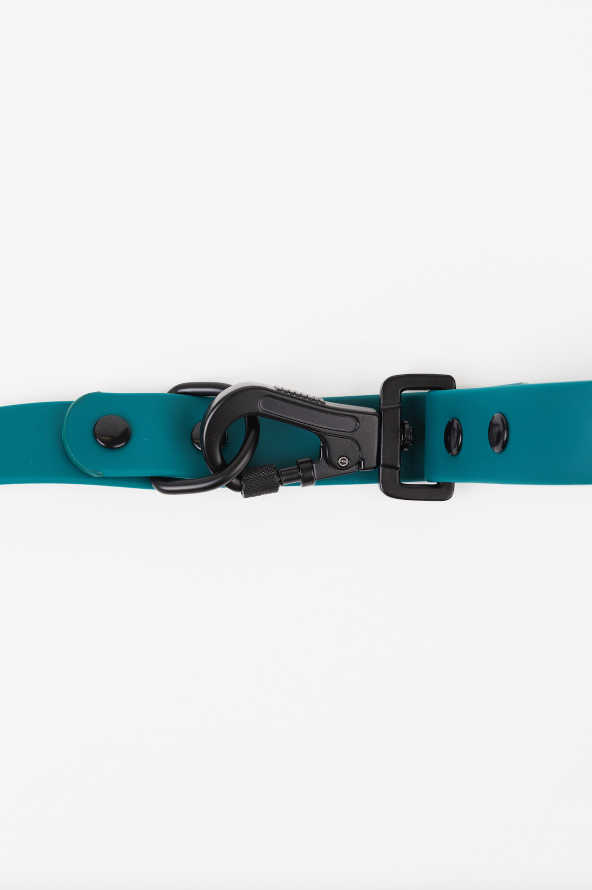 Forest Green Adjustable Dog Leash