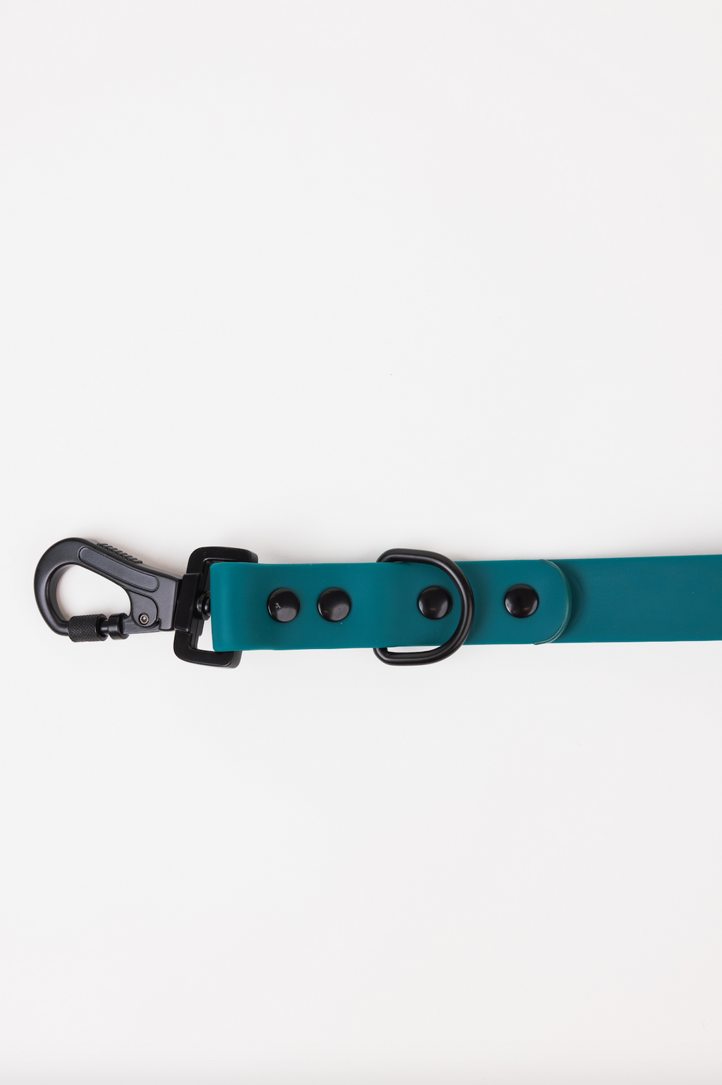 Forest Green Adjustable Dog Leash