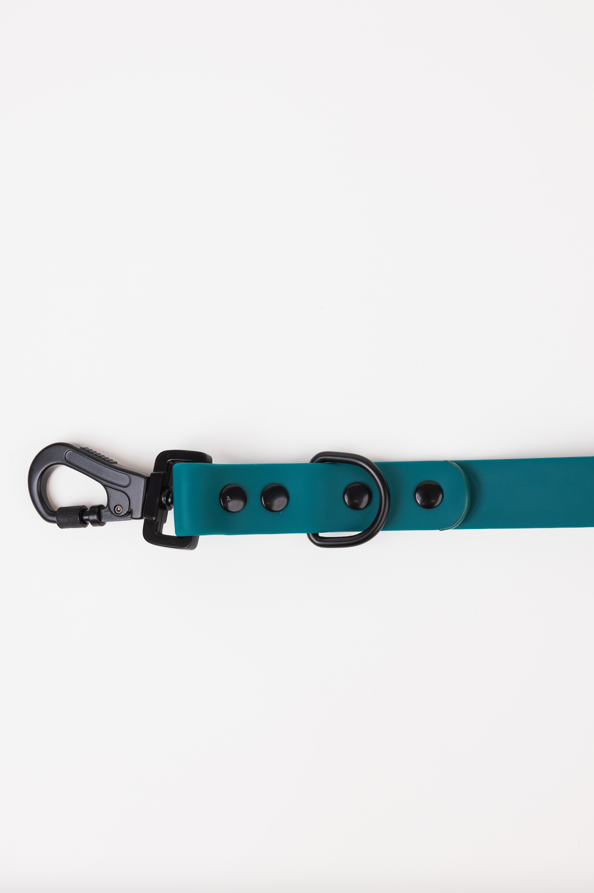 Forest Green Adjustable Dog Leash