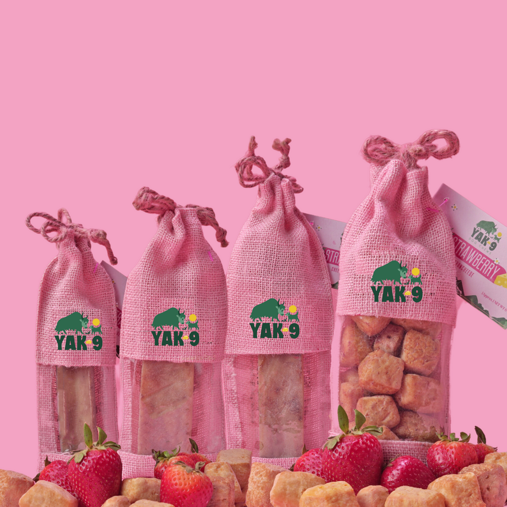 Yak9 Chews - Strawberry