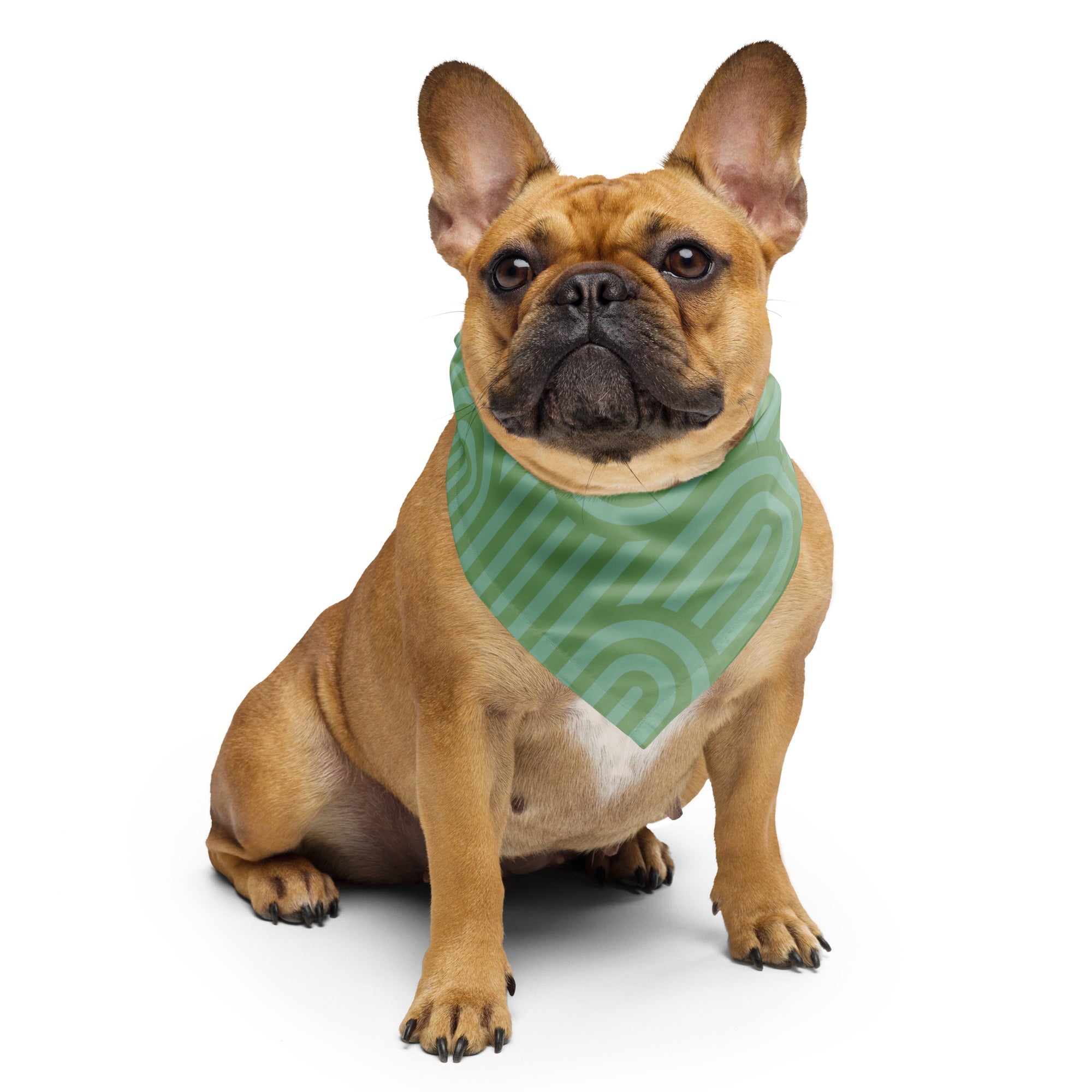 Sebastian and Clementine Scalloped Green Bandana for Dogs and Cats