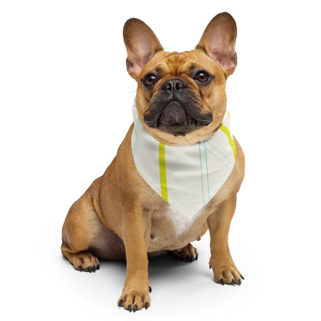 Sebastian and Clementine Neon Lines Bandana for Dogs and Cats