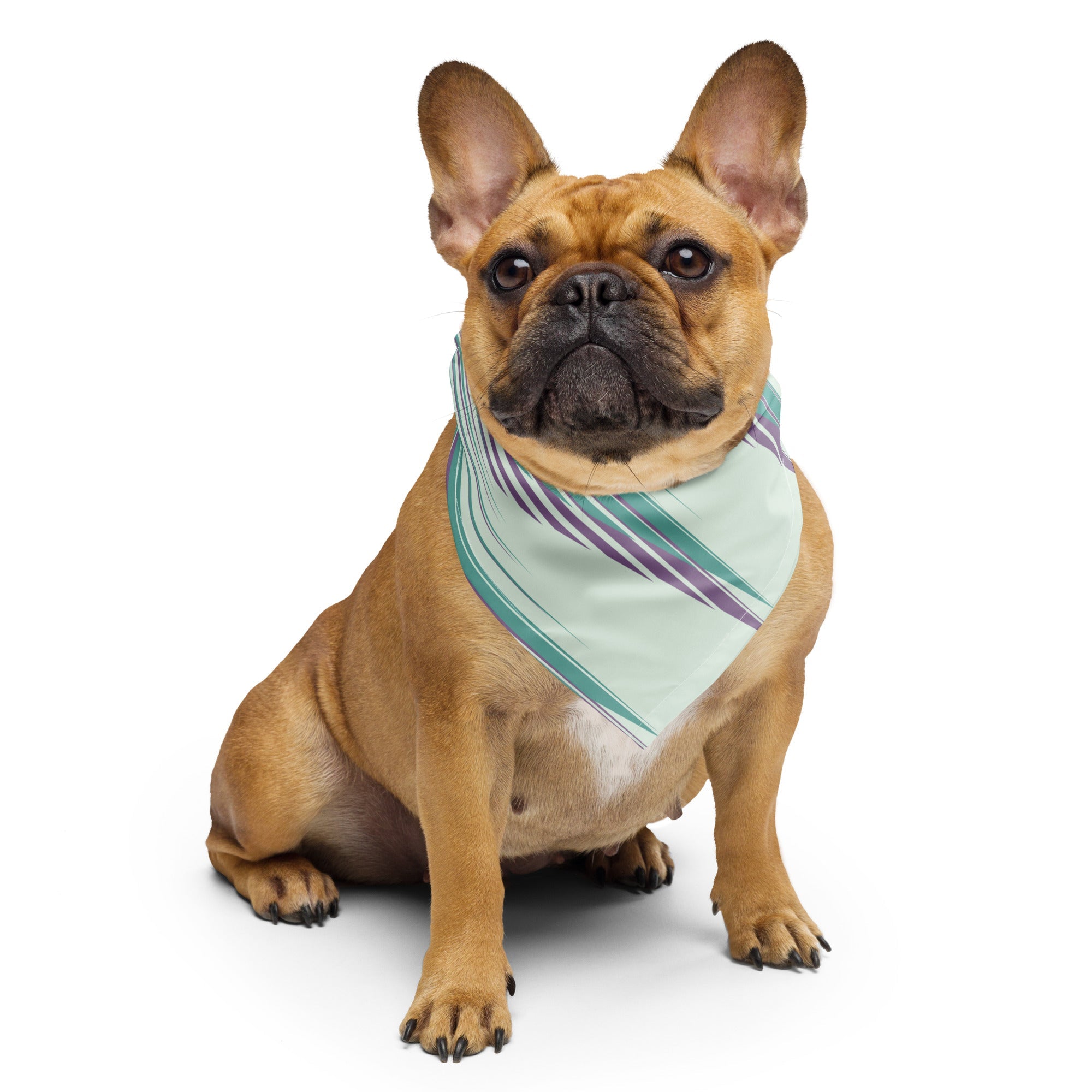 Sebastian and Clementine 80s Abstract Bandana for Dogs and Cats