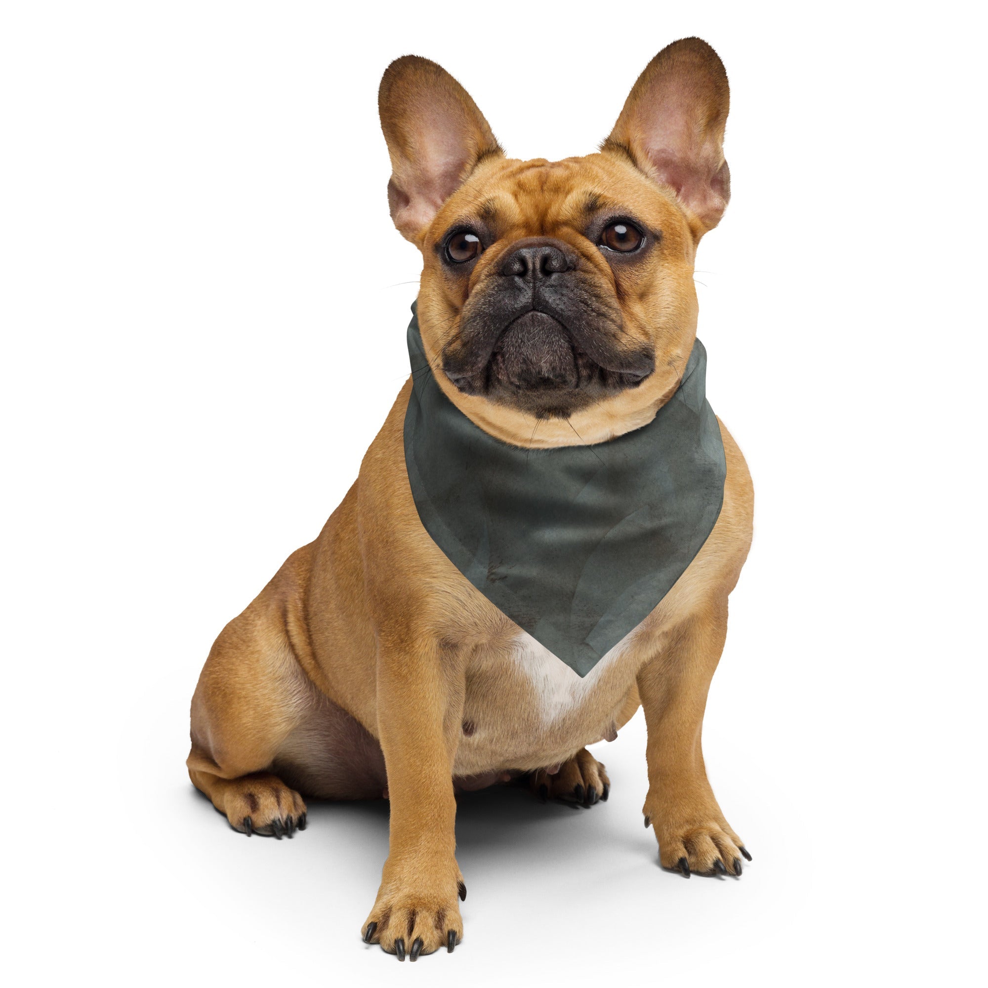 Sebastian and Clementine Vintage Print Collection Bandana for Dogs and Cats