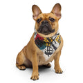 Sebastian and Clementine Small Worlds V Bandana for Dogs and Cats