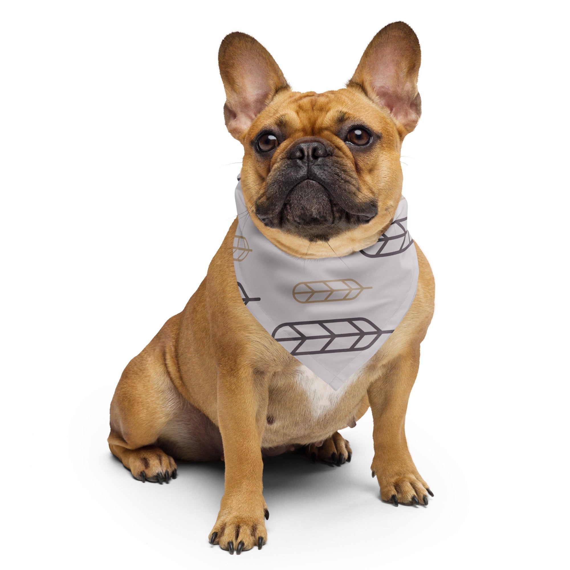 Sebastian and Clementine Flying Feathers Bandana for Dogs and Cats