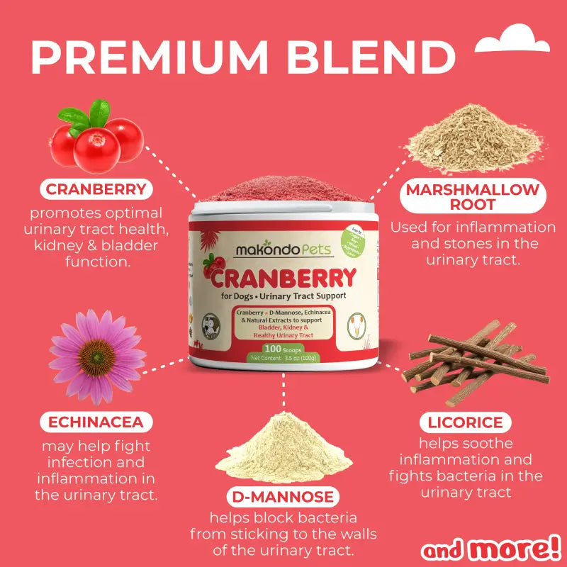 Dog Urinary Supplement – Cranberry Powder (100 Scoops)