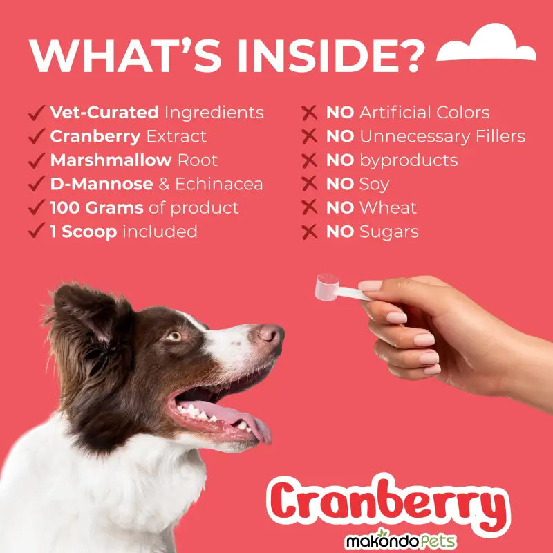 Dog Urinary Supplement – Cranberry Powder (100 Scoops)