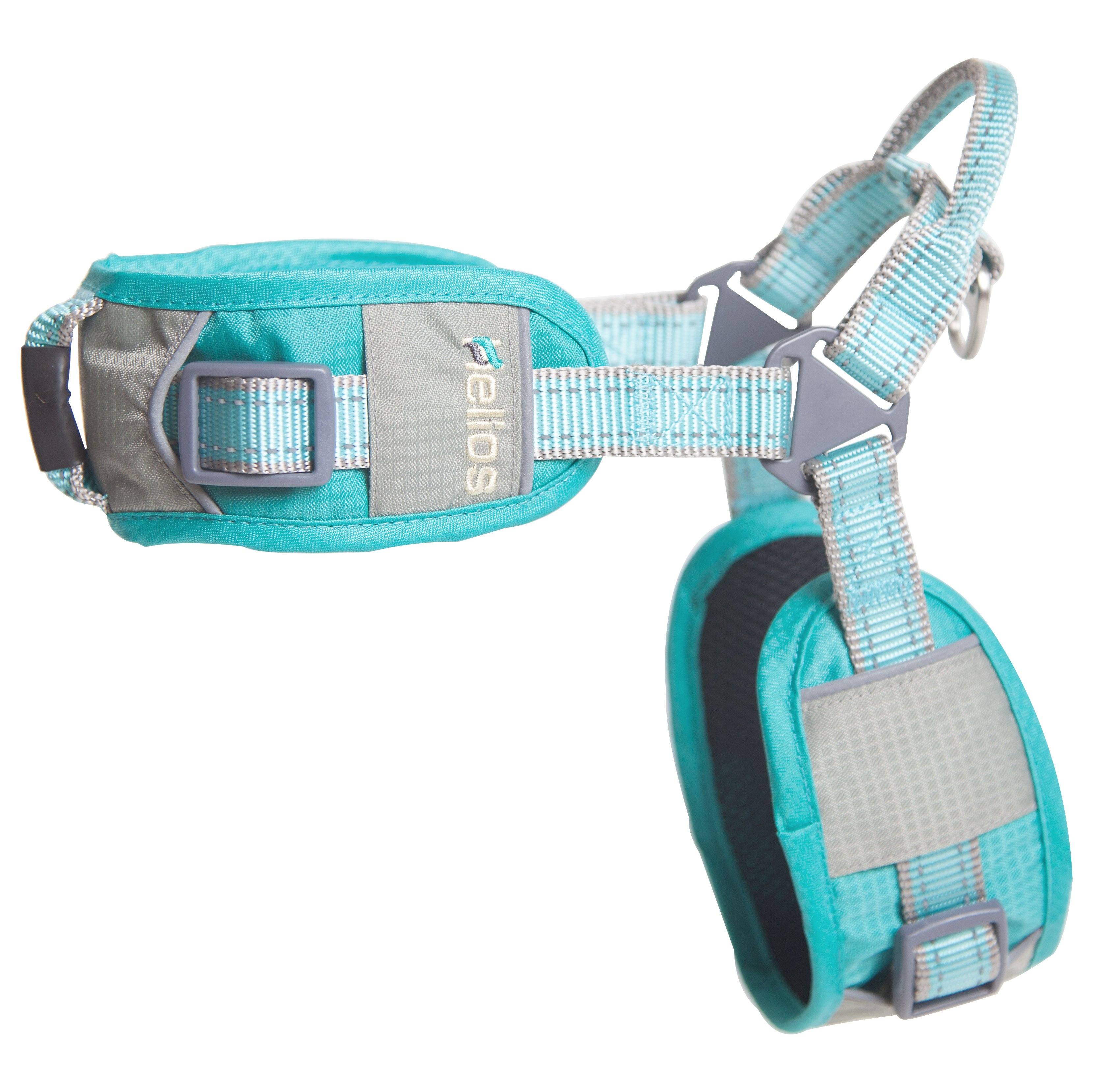 Reflective Performance Dog Harness and Leash – Geo-Turf
