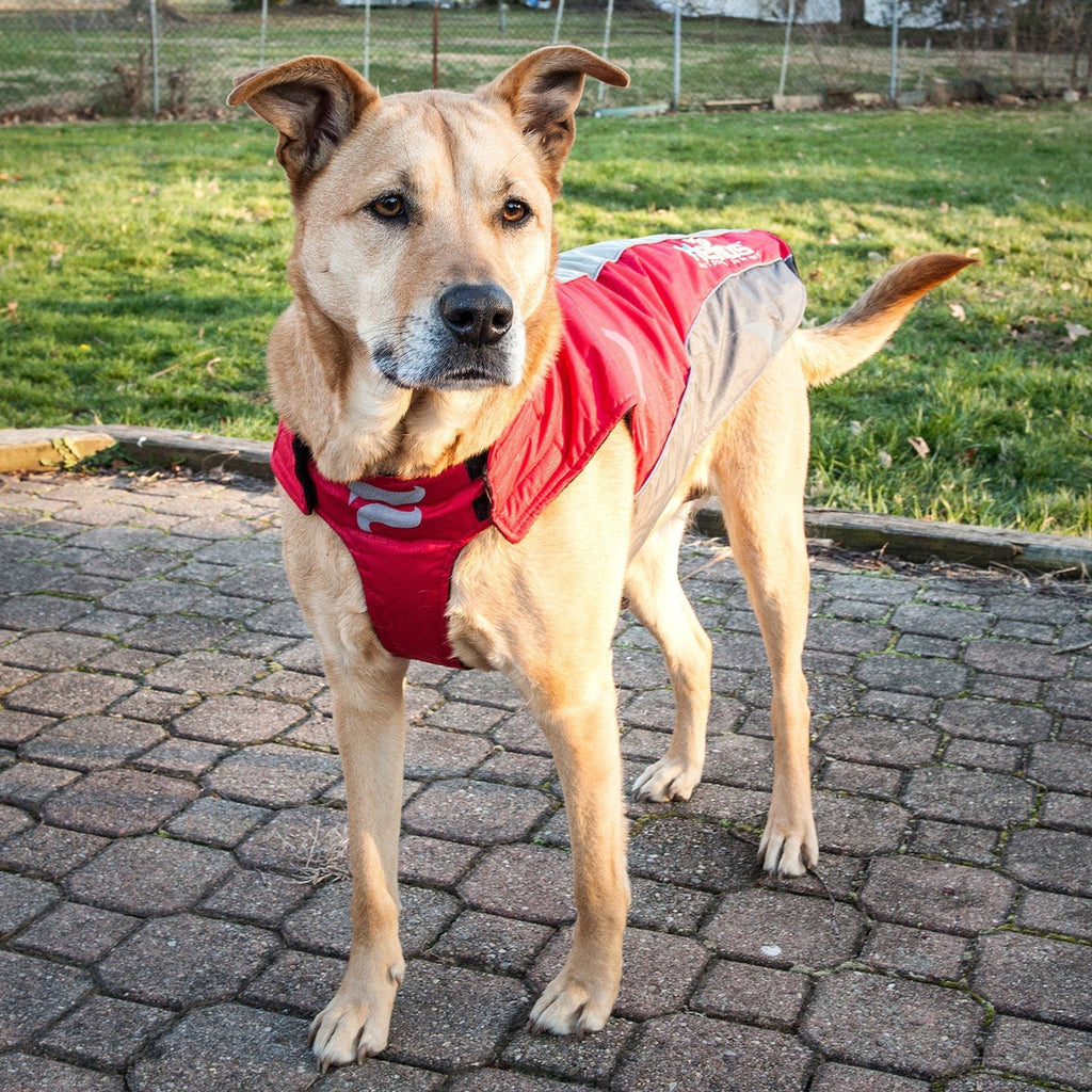 Waterproof Wrap Dog Coat – Altitude-Mountaineer