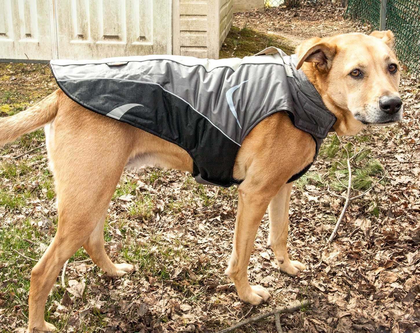 Waterproof Wrap Dog Coat – Altitude-Mountaineer