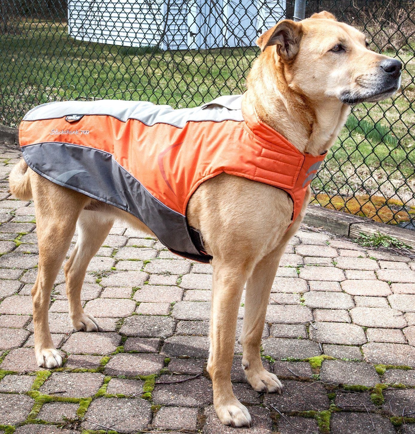 Waterproof Wrap Dog Coat – Altitude-Mountaineer
